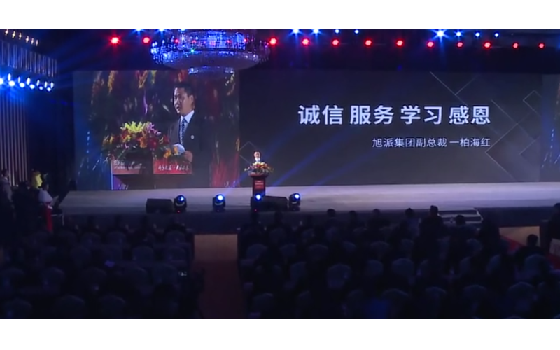 旭派电池2016年代理商大会柏海红精彩演讲
